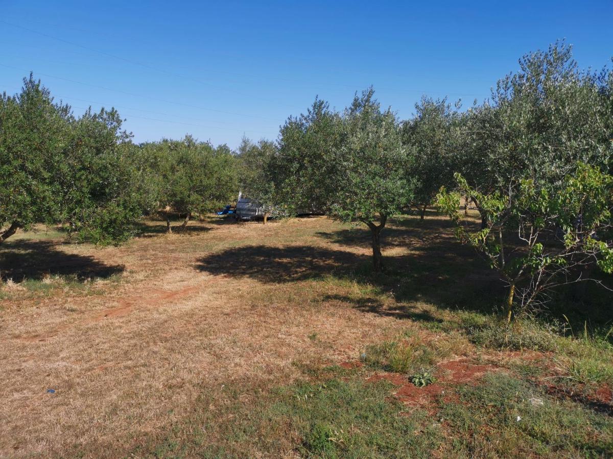 Jacuzi Cottage In The Olive Grove PUY 외부 사진