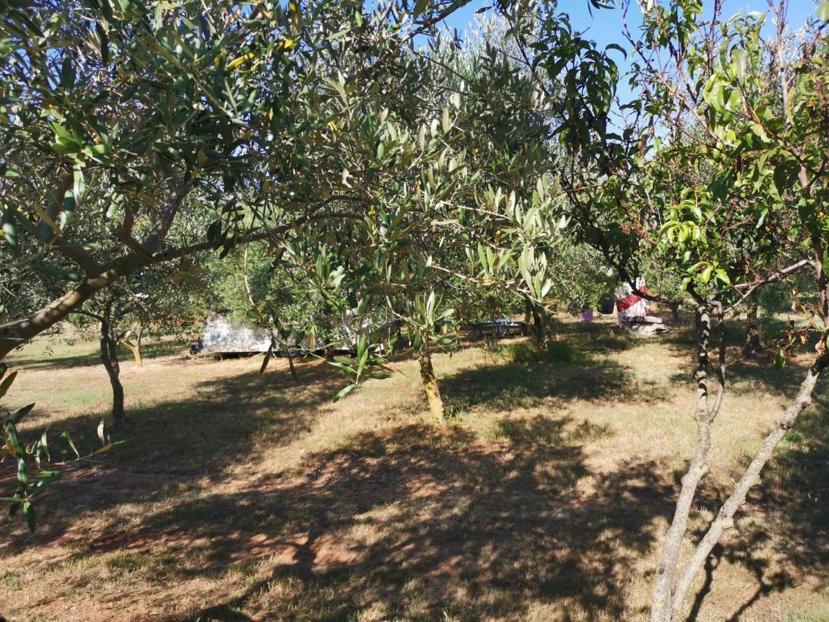 Jacuzi Cottage In The Olive Grove PUY 외부 사진