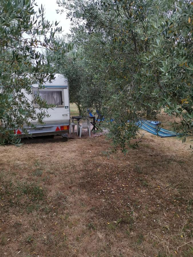 Jacuzi Cottage In The Olive Grove PUY 외부 사진