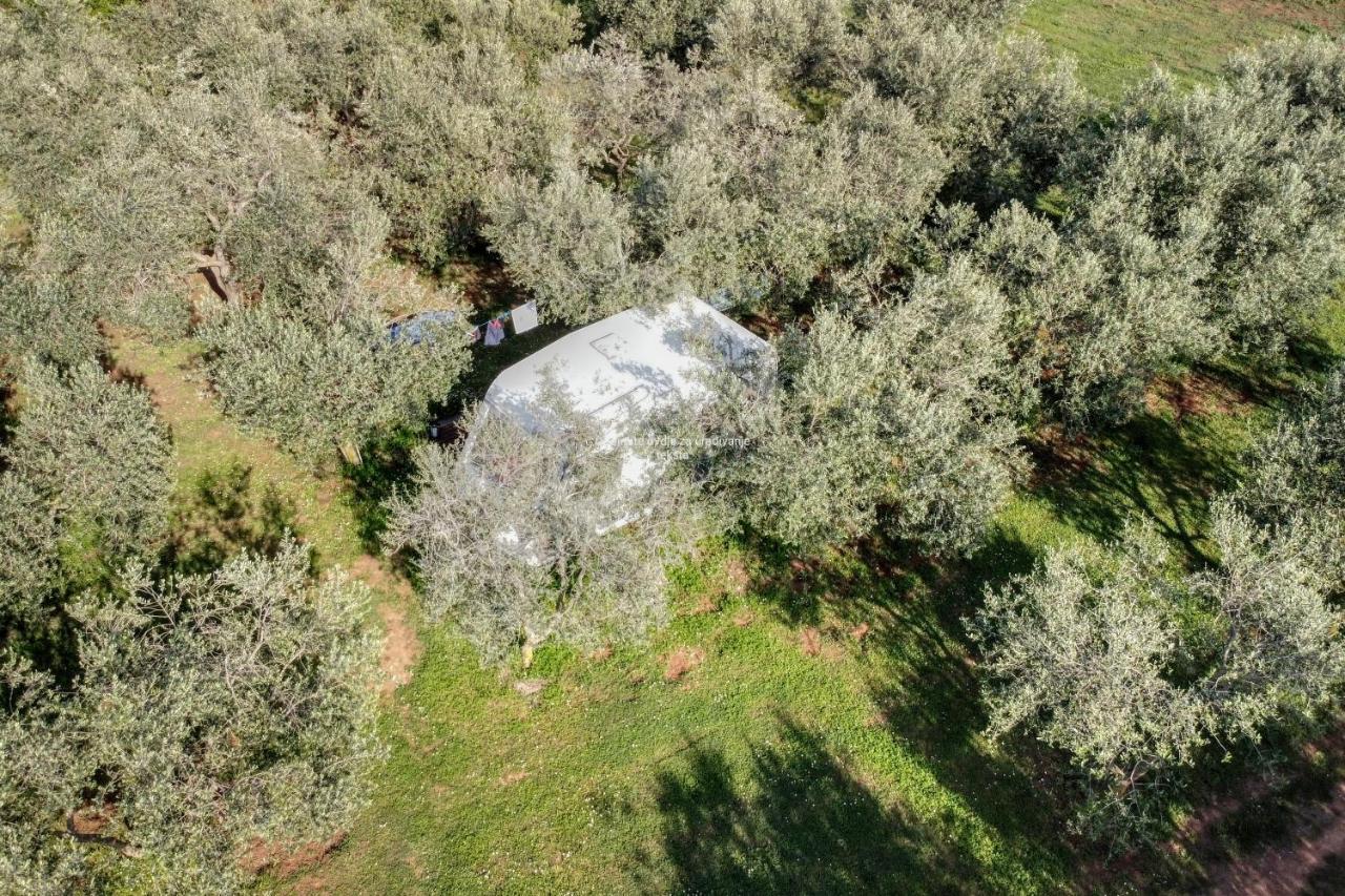 Jacuzi Cottage In The Olive Grove PUY 외부 사진