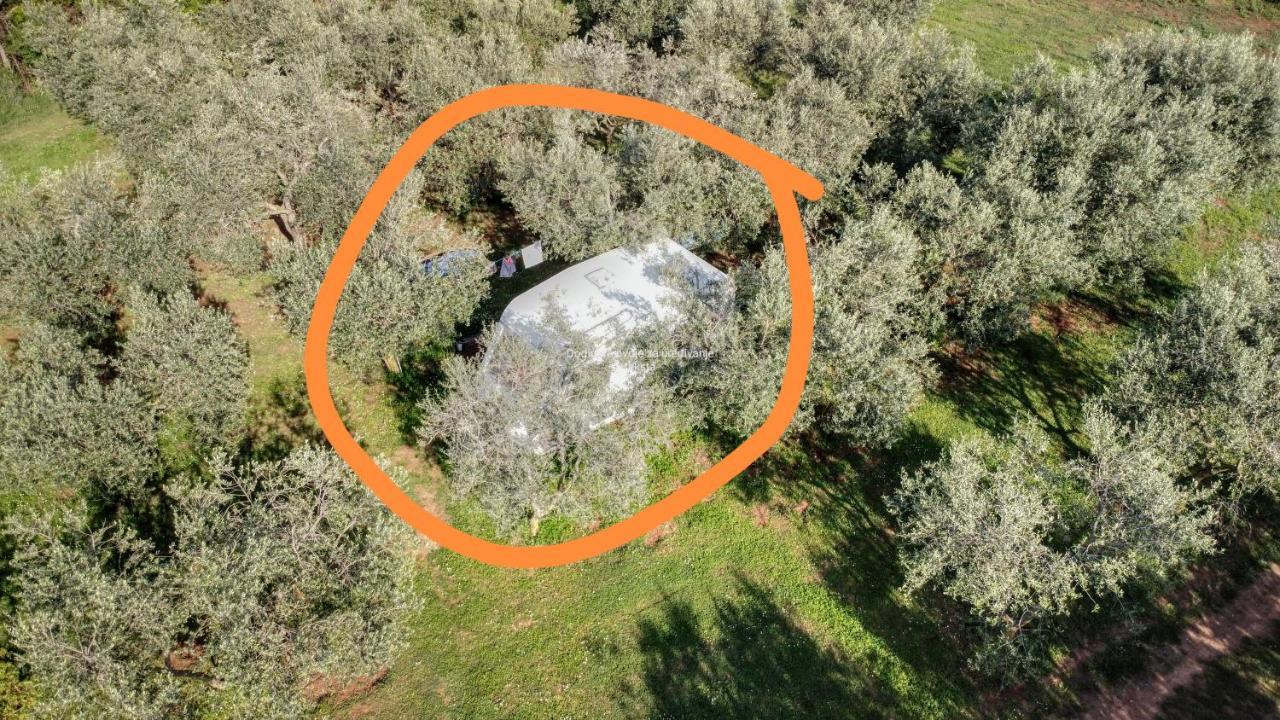Jacuzi Cottage In The Olive Grove PUY 외부 사진