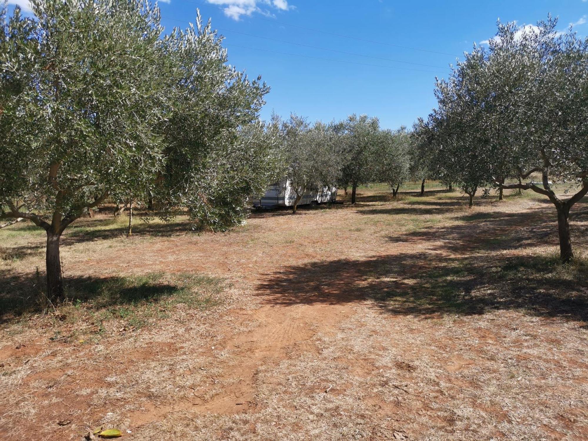 Jacuzi Cottage In The Olive Grove PUY 객실 사진